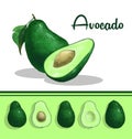 Avocado clip art