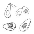 Avocado. Contour illustration. Exotic fruit in woodcut style. Isolated vector on white background.