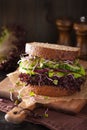 Avocado cucumber sandwich with onion and radish sprouts Royalty Free Stock Photo