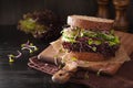 Avocado cucumber sandwich with onion and radish sprouts Royalty Free Stock Photo