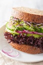 Avocado cucumber sandwich with onion and radish sprouts Royalty Free Stock Photo