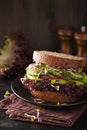 Avocado cucumber sandwich with onion and radish sprouts Royalty Free Stock Photo