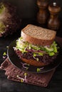 Avocado cucumber sandwich with onion and radish sprouts Royalty Free Stock Photo