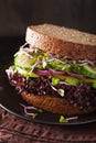 Avocado cucumber sandwich with onion and radish sprouts Royalty Free Stock Photo