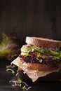Avocado cucumber sandwich with onion and radish sprouts Royalty Free Stock Photo
