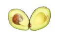 Avocado cut in half isolated on white background Royalty Free Stock Photo