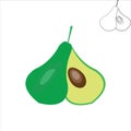 Avocado design illustration vector simple half and line