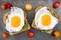 Avocado, egg toast with tomatoes on rustic baking tray