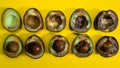 Avocado evolution from good to Rotten fruits Close up. Creative composition many Avocado cuts in halfs on yellow background.