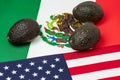 United States of America, Mexico flags and avocados