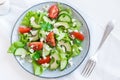 Avocado, feta and vegetables salad Royalty Free Stock Photo