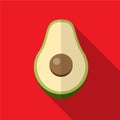 Avocado flat icon illustration