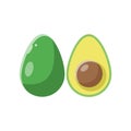 Avocado Flat Illustration. Clean Icon Design Element on Isolated White Background