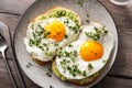 Avocado and Fried Egg Sandwiches