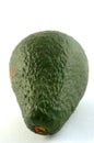 Avocado fruit