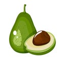 Avocado fruit. Cartoon icon isolated on white background. Royalty Free Stock Photo