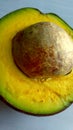 avocado fruit contains lots of vitamins for the body
