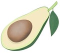 Avocado Fruit Cut in Half - Clip Art - Transparent Background