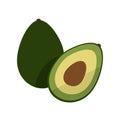 Avocado fruit flat style vector illustration. Avocado whole and cut fruit.