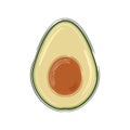 Avocado fruit icon. Half of ripe avocado. Flat style. Isolated on white background. Vector illustration Royalty Free Stock Photo