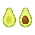 Avocado fruit icon. Vector illustration on white background Royalty Free Stock Photo