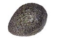 Avocado fruit Royalty Free Stock Photo