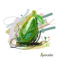 Avocado, fruit vector illustration. Abstract avocado