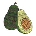Green mandala avocado for printing on products. Vector illustration