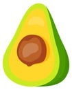 Avocado half cut. Cartoon healthy fruit icon
