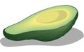 Avocado Half Vector Illustration