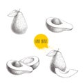 Avocado hand drawn sketch style set. Exotic fruits vector illustrations, Whole, cut and compositions.