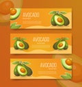 Avocado healthy fruits for template banner banners horizontal variations option realistic with flat color style