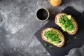 Avocado Hummus Toast with Sprouts, Healthy Snack, Breakfast, Vegetarian Meal Royalty Free Stock Photo