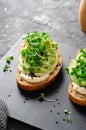 Avocado Hummus Toast with Sprouts, Healthy Snack, Breakfast, Vegetarian Meal Royalty Free Stock Photo