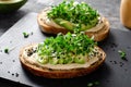 Avocado Hummus Toast with Sprouts, Healthy Snack, Breakfast, Vegetarian Meal Royalty Free Stock Photo