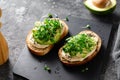 Avocado Hummus Toast with Sprouts, Healthy Snack, Breakfast, Vegetarian Meal Royalty Free Stock Photo