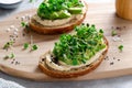 Avocado Hummus Toast with Sprouts, Healthy Snack, Breakfast, Vegetarian Meal Royalty Free Stock Photo