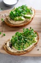 Avocado Hummus Toast with Sprouts, Healthy Snack, Breakfast, Vegetarian Meal Royalty Free Stock Photo
