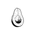 Avocado Icon hand draw black thanksgiving fruit colour logo symbol perfect