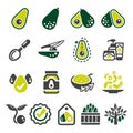 avocado icon set