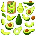 Avocado isolated cartoon set icon. Vector illustration fruit on white background. Vector cartoon set icon avocado. Royalty Free Stock Photo