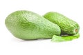 Green avocado isolated on a white background