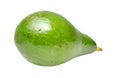 Avocado isolated on white background Royalty Free Stock Photo