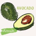 Avocado line art and color hand-drawn vector illustration. Rough crayon strokes doodle in an expressive loose coloring book style