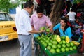 Avocado - Neiva .Colombia Royalty Free Stock Photo