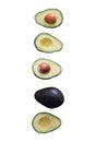 Avocado with and without nut
