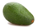 Avocado Royalty Free Stock Photo