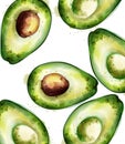 Avocado pattern watercolor Vector. Green juicy texture backgrounds