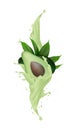 Avocado realistic 3d fruit with splashing