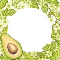 Avocado round frame. Fruit half with seed core, sliced pieces, green leaves, flowers. Botanical vegetable clipart. Hand